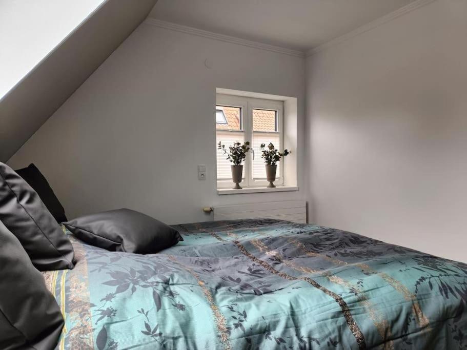 Boitzer Stuuv Apartment